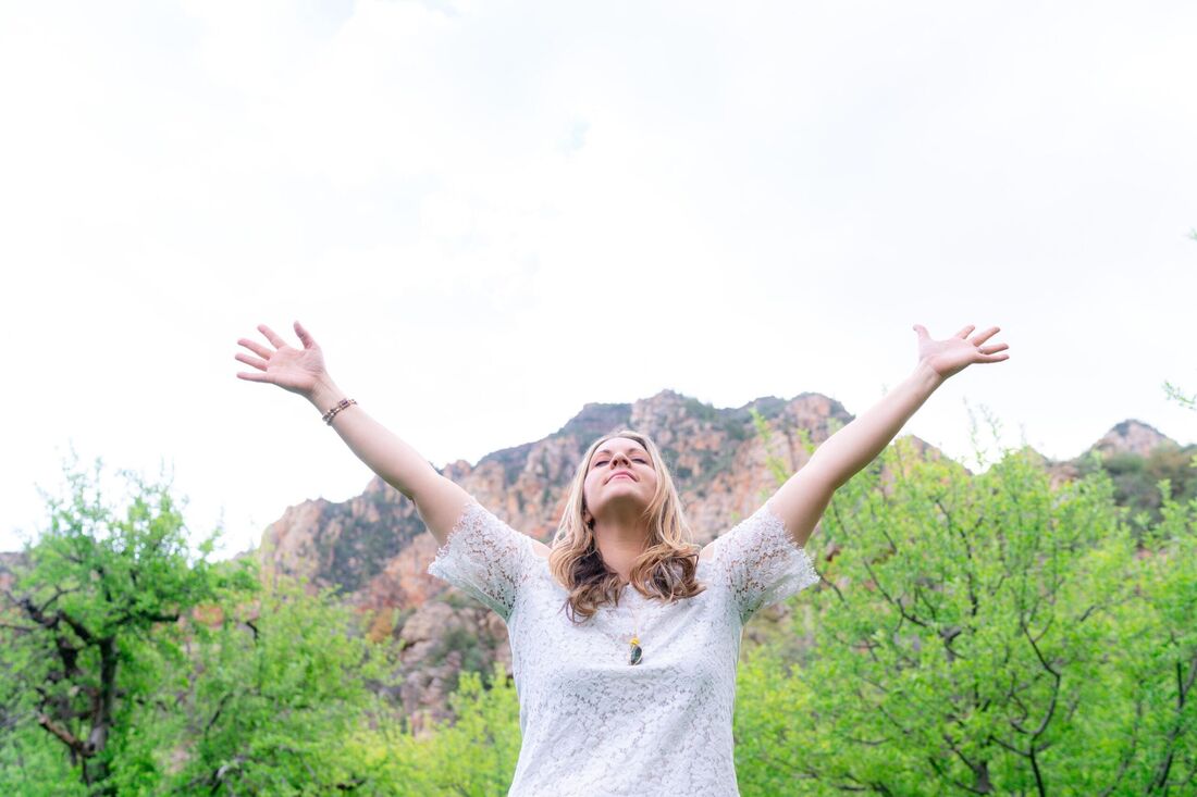 5 Elements to Freedom online course